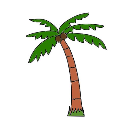 illustration of a coconut tree