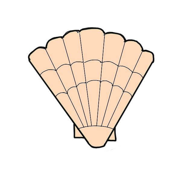 illustration of a shell